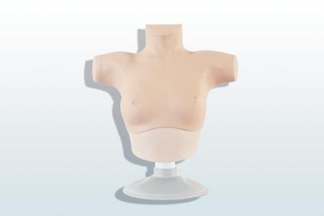 乳腺癌觸診、視診訓練模型